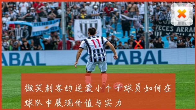 微笑刺客的逆袭小个子球员如何在球队中展现价值与实力