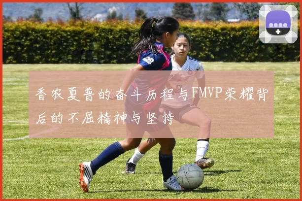 香农夏普的奋斗历程与FMVP荣耀背后的不屈精神与坚持